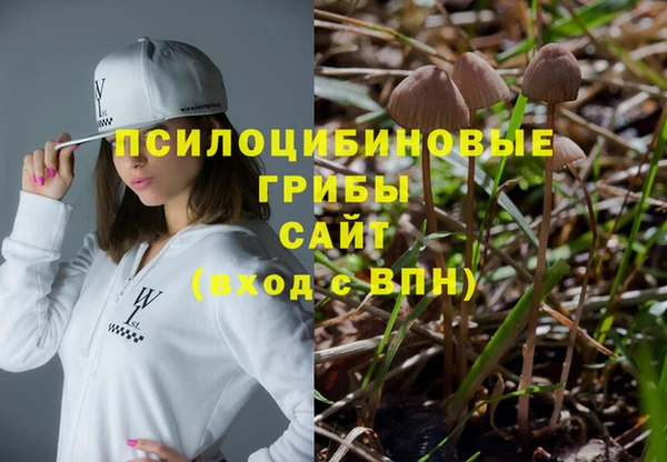 прущий лед Алексеевка